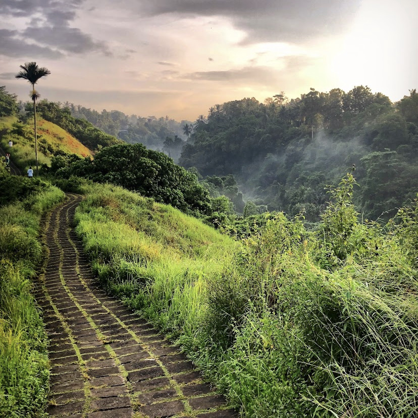 Bisma Eight, Ubud: la terraza infinita sobre la selva que pocos huéspedes conocen al atardecer